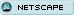 Netscape NOW!